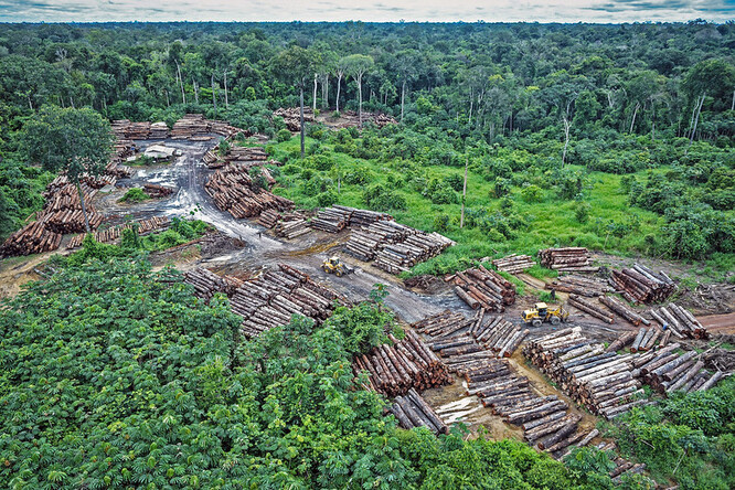 Brazilská vláda prezidenta Jaira Bolsonara slíbila přísnější ochranu pralesa a tvrdí, že tempo mýcení se postupně zpomaluje. Na klimatické konferenci COP26 tento týden oznámila závazek ukončit nelegální odlesňování do roku 2028.