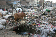 Odpadky v Dillí