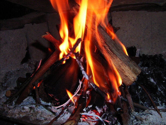Výjimkou bude pálení suchého dřeva a šišek při rozdělávání ohňů určených například k opékání špekáčků nebo při kulturních a společenských akcích.