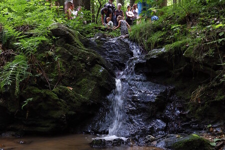 Olešenský potok je drobný pravostranný přítok řeky Berounky v přírodním parku Horní Berounka, nacházející se necelých 30 km severovýchodně od Plzně.