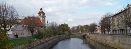 Olomouc, řeka Morava, z mostu Masarykovy třídy Foto: ŠJů Wikimeda Commons Olomouc, řeka Morava, z mostu Masarykovy třídy Foto: ŠJů Wikimeda Commons