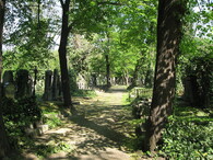 Olšanský hřbitov
