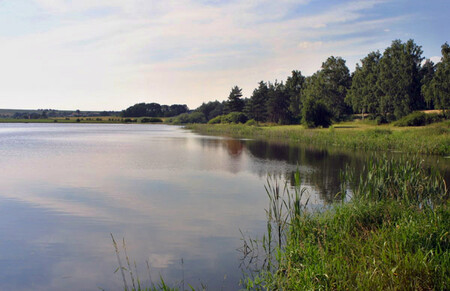 Rekonstrukce čeká Biologický rybník v Horních Počernicích, kde práce již začaly, a Olšanský rybník v Kunraticích (na snímku).