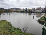 Opatský rybník ve Vrčeni na jižním Plzeňsku