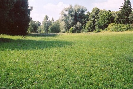 MŽP chce zajistit ochranu lokality Louky u Přelouče na východě Čech a stanoviště bahnité břehy řek se dvěma typy rostlinstva, které se na územích s bahnitými a písečnými náplavami vod vyskytují.