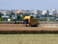 zemědělství v Praze