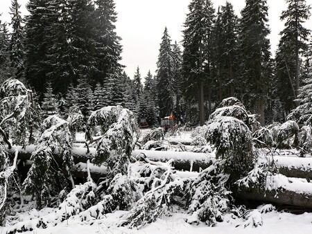 Dosud největší větrnou kalamitu v historii Lesů ČR způsobil orkán Kyrill, který v lednu 2007 poničil šest milionů metrů krychlových dřeva.