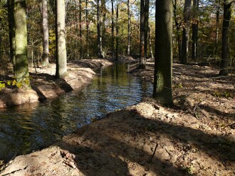 Vodu po lesních porostech rozvádí páteřní kanál zvaný Jalová struha, kterým v minulosti proudila voda mezi říčkou Kyjovkou a tokem řeky Moravy.