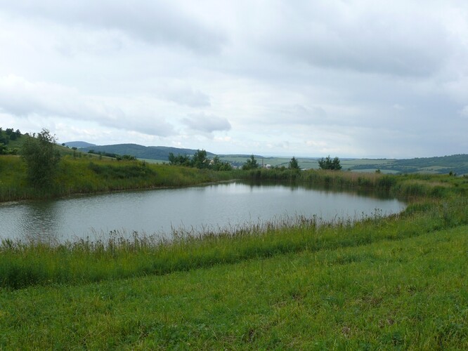 Tůň v rekultivované části výsypky. Tůň v rekultivované části výsypky.