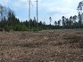 Masivní těžba na pozemcích Vojenských lesů poničila Národní přírodní rezervaci Břehyně-Pecopala u Doks na Českolipsku