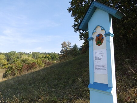 Ochránci přírody v pátek u Velkého Vřešťova na Trutnovsku otevřeli 89. lokalitu Blíž přírodě a odhalili tam pomník věnovaný vyhynulému hořci jarnímu.