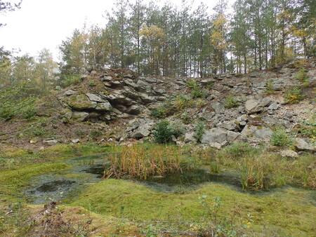 Český svaz ochránců přírody (ČSOP) dnes představil veřejnosti na Podblanicku další unikátní geologickou lokalitu – Křížovský lom.