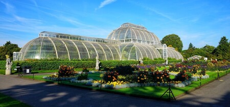 V Královské botanické zahradě v Kew (na obrázku) na předměstí Londýna jsou rostliny roztříděny podle místa svého původu. Pocházejí z pásem, kde nejsou v přírodě vystaveny mrazu. Některé jsou mimořádné vzácné nebo velmi ohrožené a jejich pěstování v botanické zahradě je jediná možnost jejich záchrany. Mezi 1500 různými druhy je například i mimořádně vzácná rostlina zvaná píchoš Woodův, která je původem z Jihoafrické republiky, ale ve volné přírodě se už nevyskytuje.