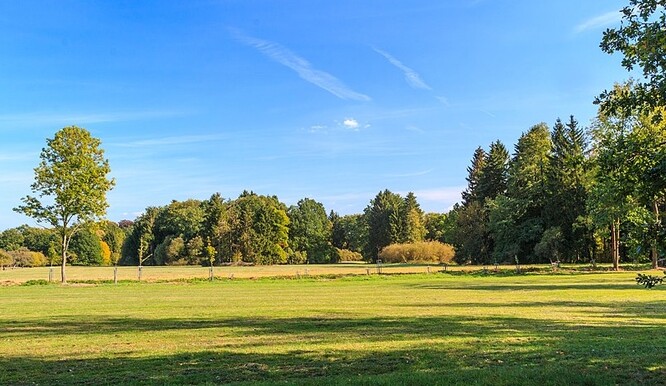 Anglický krajinářský park na Mošnici založil v roce 1895 ředitel hřebčína Rudolf Motloch, ale obora s chovem koní byla zmiňována již kolem roku 1560.