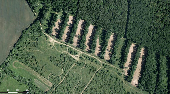 Obr. 2 Devastační postupy – frézování a/nebo aplikace herbicidů - při přípravě pasek před zalesněním v  Milovickém lese jsou zjevné i z leteckých snímků. Všude zeleno, jen většina pasek je žlutá. Zde devastace vegetace v daném roce postihla osm z deseti sečí v porostu přiléhajícím k PP Na cvičišti v r. 2015 (souřadnice 48.8231533N, 16.6782083E).