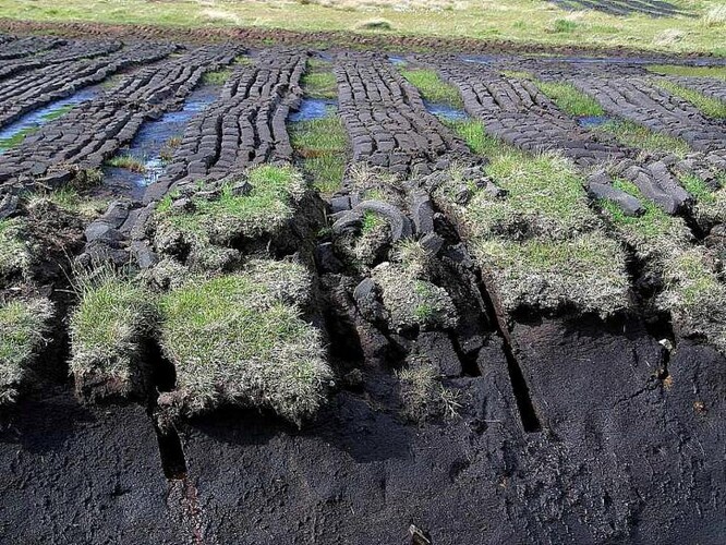 Těžba rašeliny v Irsku. Rašeliniště je stále zamokřené a ponechané vyvýšené pásy slouží k přístupu na těženou plochu.