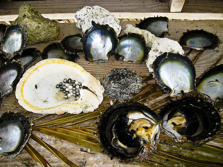 Pokud se předpoklad filipínských úřadů potvrdí, porazí tato perla snadno dosavadní největší přírodní mořskou perlu, která váží "jen" 6,4 kilogramu. Ilustrační obrázek