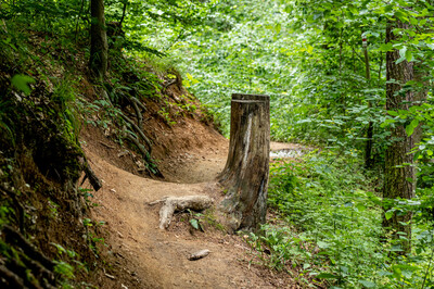 Naučná stezka končí u památníku Karla Morávka, lesníka, který v první polovině 20. století spravoval lesy královopolského velkostatku. Věnoval pozornost také estetické a rekreační funkci lesů.