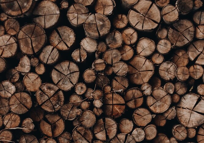 Indonésie exportuje každoročně do zemí EU kolem 9 % produkce dřeva.  / Ilustrační foto