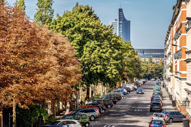 Vysoká hustota stromů v ulicích měst může pomoci zlepšit duševní zdraví i místní klima, kvalitu ovzduší a druhovou bohatost. Na snímku ulice v centru Lipska.