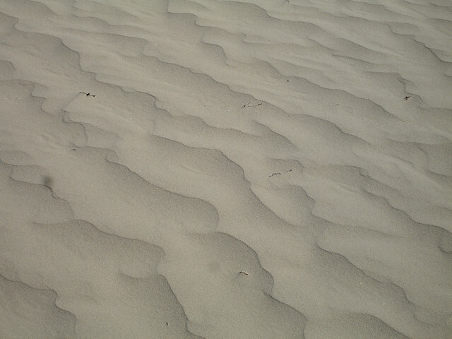 Aby kořeny cibule, salátu nebo řepy pily jenom sladkou vodu a nedostala se k nim slaná, musí být vrstva písku vysoká přesně 40 centimetrů.  Ilustrační foto