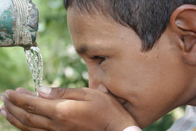 Téměř čtvrtina lidské populace nemá k pitné vodě přístup a na následky nemocí způsobených pitím závadné vody každoročně umírá více než pět milionů lidí.