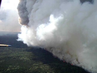 Výskyt brazilských požárů začal brazilský Národní institut pro výzkum vesmíru (INPE) monitorovat v roce 2013. V první rok počítání se jich vyskytlo na 40 000, v roce 2014 pak 55 000. Dosud nejextrémnější pak byl rok 2016, kdy se jich vyskytlo přes 70 000. Což je velmi podobné číslo, jako současných 75 336 ohnisek požárů.