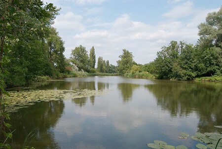 Začátek zamýšlené revitalizace oblasti Holáseckých jezer v Brně se posune kvůli bahnu na dně. Bude se zkoumat, zda neobsahuje těžké kovy. Na ilustračním snímku Plavecké jezero.