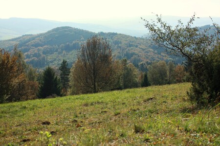 Český svaz ochránců koupil i dva pozemky na přilehlém vrcholu Ploščin.