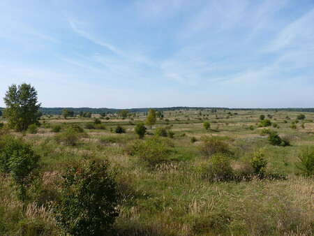 Středočeský kraj chce upravit rozsah rozšíření přírodní rezervace u Milovic na Nymbursku, které plánuje ministerstvo životního prostředí. Na ilustračním snímku přírodní rezervace Pod Benáteckým vrchem v létě 2011.