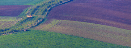 Foto: Sergii Kononenko / Shutterstock.com Foto: Sergii Kononenko / Shutterstock.com