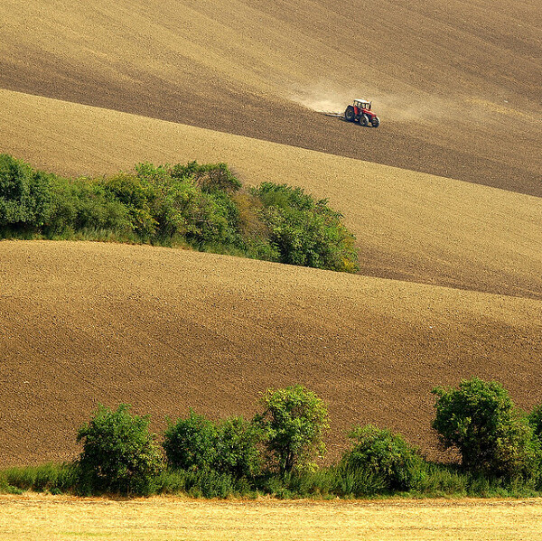 Traktor v krajině