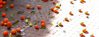 Spadané pomeranče na ulici v Seville