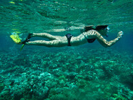 potápění u korálového útesy