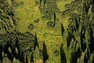 Středem Rokytské slati protéká Rokytský potok s břehovými porosty smilky tuhé, bezkolence modrého a třtiny chloupkaté. Dominantou oblasti je tzv. Mrtvý les tvořený odumřelými a vybělenými kmeny smrků a rovněž zakrslé mrazové formy stromů – smrků, borovic a bříz.