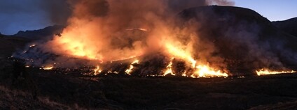 Požár v Jižní Africe Foto: Martin Smit Flickr