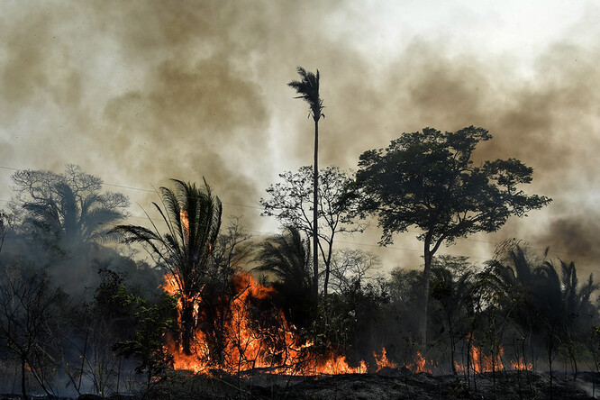 Ekologové dávají do souvislosti vysoké tempo ničení amazonského pralesa s nástupem k moci brazilského prezidenta Jaira Bolsonara.
