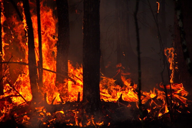 Přestože krajinné požáry jsou pro správné fungování některých ekosystémů nezbytné, zpráva se zabývá zejména nekontrolovatelnými živly, které představují riziko pro společnost, hospodářství nebo životní prostředí.