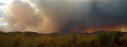 Požár lesa v Kalifornii Foto: Unsplash