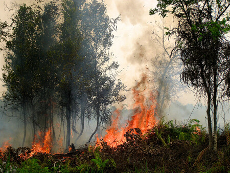 Mezi nejvíce zasažené oblasti patří ostrov Sumatra, kde epicentrum požárů tvoří oblast o velikosti Moravy a řetěz plamenů se táhne do vzdálenosti 5000 kilometrů.