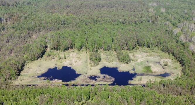 PR Borkovická blata. PR Borkovická blata.