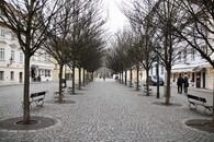 Praha v zimě