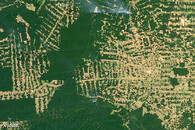 Odlesňování Amazonie