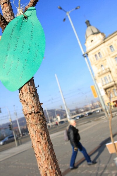 Na problémy kolem kácení stromů upozornila Arnika happeningem "Poslední alej"