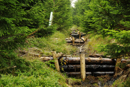 Jedna ze 600 přehrážek, které mají zajistit obnovu vodního režimu v lesích.
