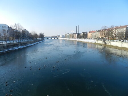 Aniž si to většina obyvatelstva uvědomuje, pro město Přerov a celý region je opravdovým klenotem řeka Bečva se zbytky lužního porostu na březích a kolem celého toku
