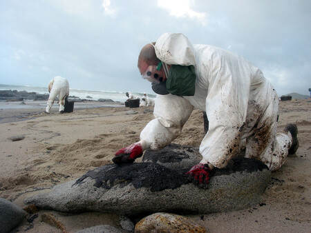 Ekologická katastrofa po havárii ropného tankeru Prestige v roce 2002 u španělského pobřeží.