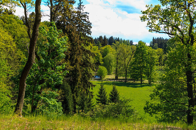 Průhonický park u zámku Průhonice ve stejnojmenné obci v okresu Praha-západ je jeden z nejvýznamnějších zámeckých parků v Česku. Od roku 2010 je národní kulturní památkou. Park a jeho sbírky rostlin byly ve stejném roce zapsány na Seznamu světového dědictví UNESCO. Osou parku je říčka Botič se třemi většími rybníky, skalnatými partiemi, alpinem a loukami v nivě potoka.