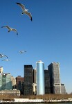 Ptáci na Manhattanu