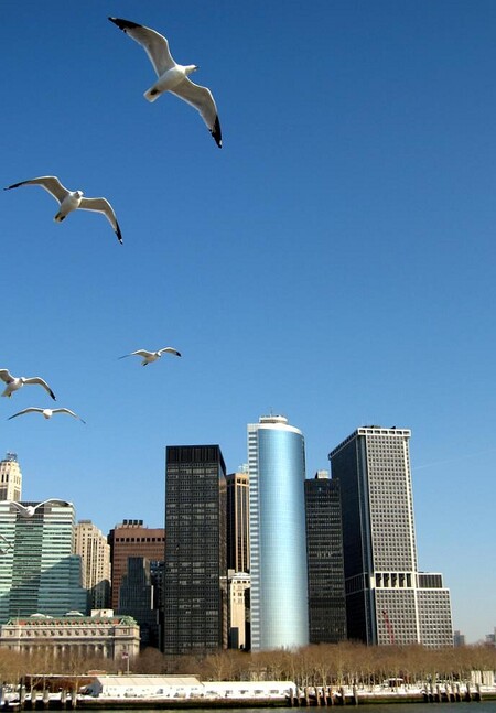 Ptáky přitahuje umělé osvětlení v oknech výškových budov, ztrácejí orientaci a narážejí do stěn, přičemž se zraní nebo uhynou. Na snímku Manhattan v New Yorku. Ilustrační snímek.